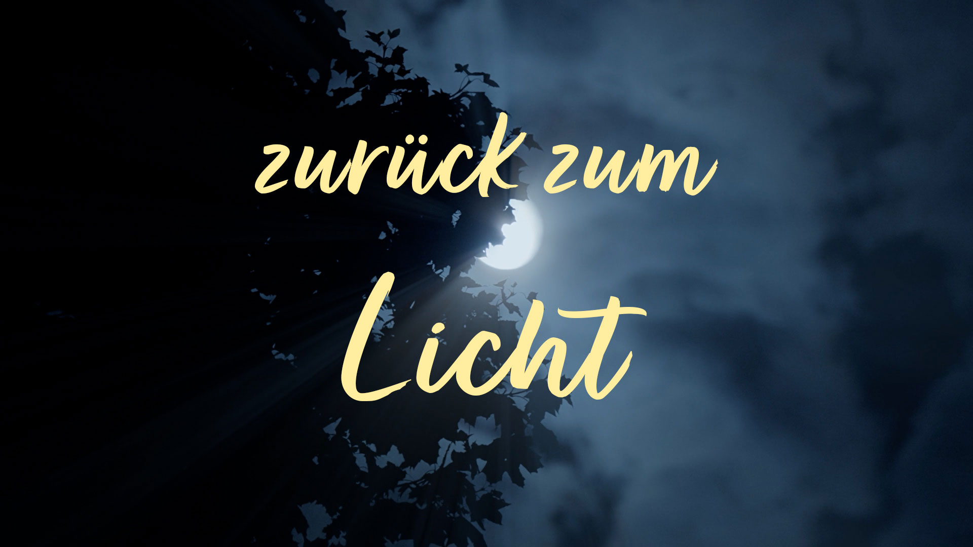 Zurück zum Licht